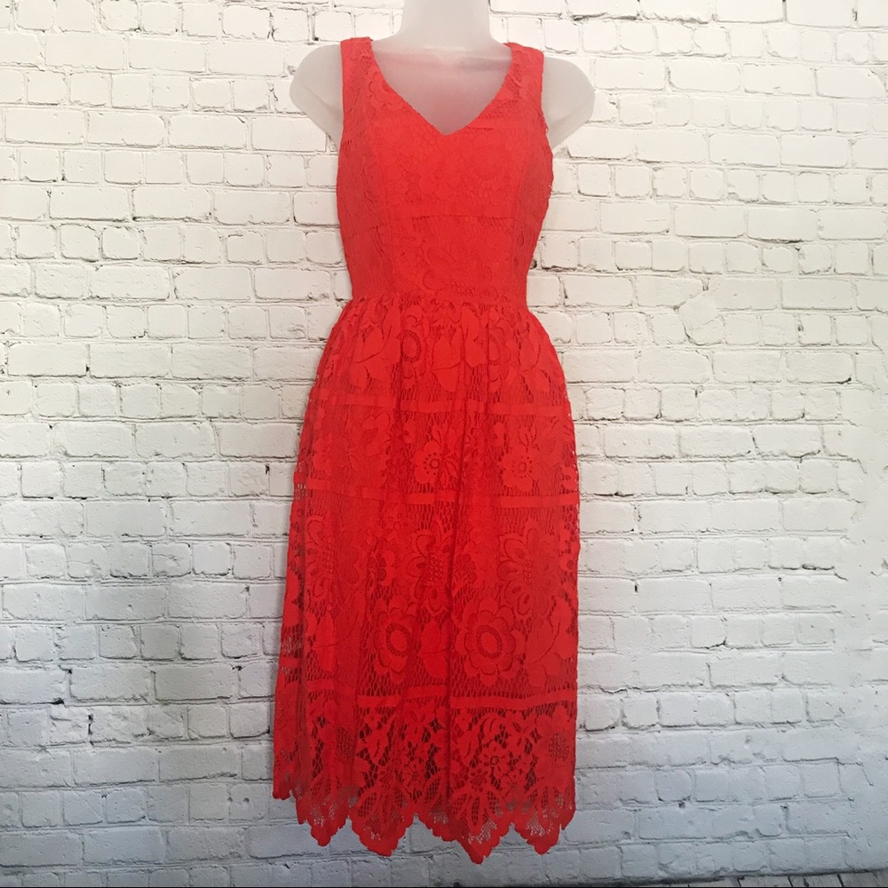 NWOT Lace Cocktail Dress